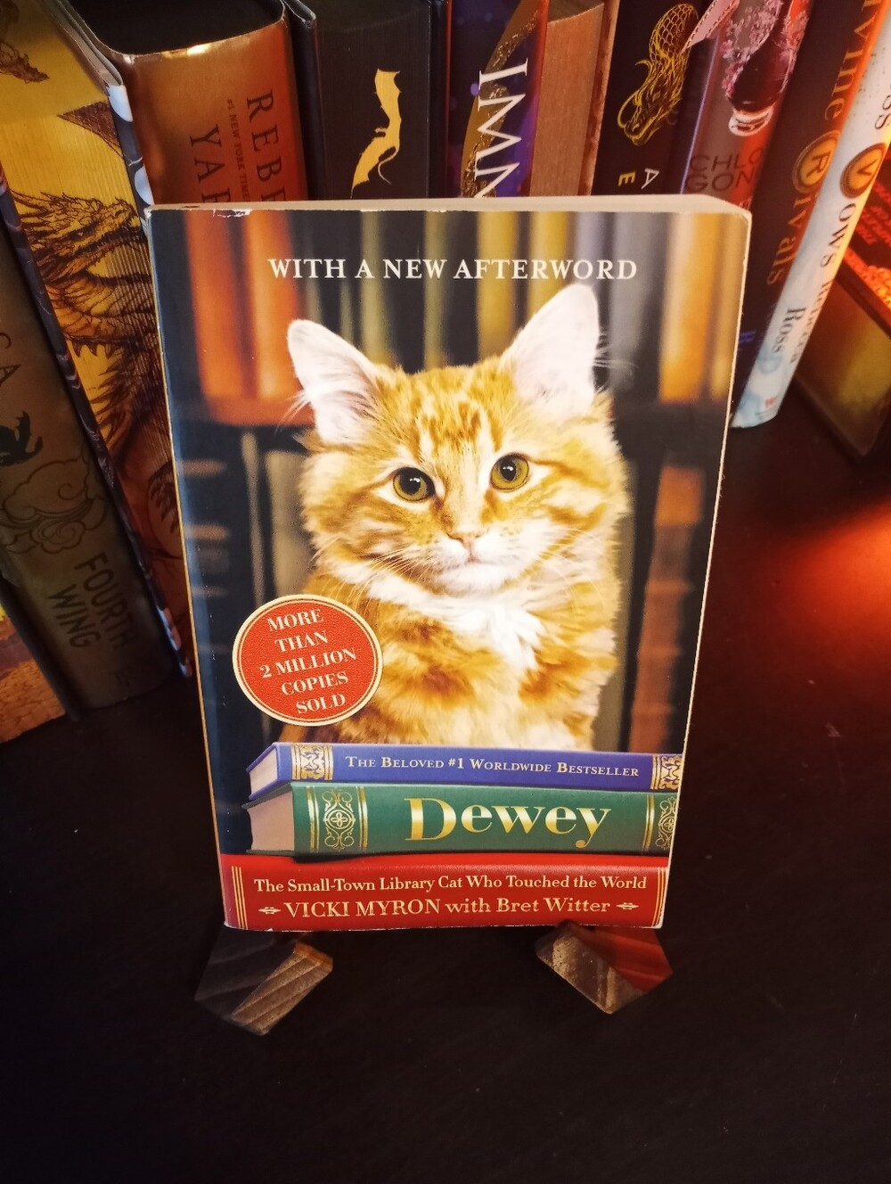 Dewey The Cat Who Touched The World